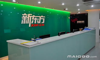 新東方教育加盟代理 投資費用與咨詢指南